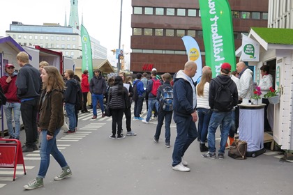 En skolklass går runt bland valstugorna, som bildar en palett av olika färger.